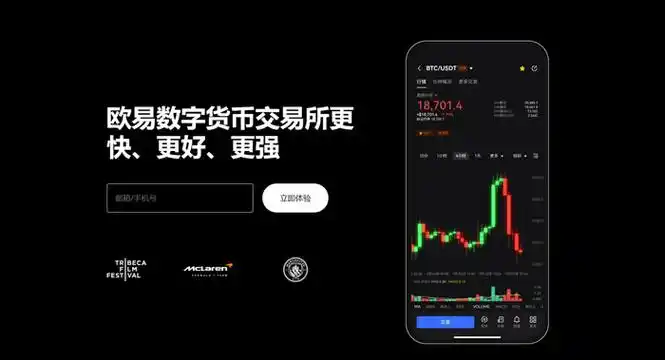国际数字资产管理平台平台展示图